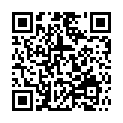 C&oacute;digo QR con el enlace al titular VÃ¡ndalos rompen las lunas de 14 coches y daÃ±an  escaparates de varios establecimientos comerciales