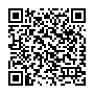 C&oacute;digo QR con el enlace al titular La Virgen, desaparecida (4-0)
