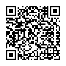 C&oacute;digo QR con el enlace al titular La caza de los hermanos Tsarnaev, 22 horas de una agÃ³nica persecuciÃ³n