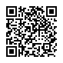 C&oacute;digo QR con el enlace al titular New Theme: Twenty Thirteen