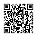 C&oacute;digo QR con el enlace al titular New Theme: Twenty Thirteen