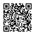 C&oacute;digo QR con el enlace al titular Widget Visibility and You