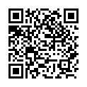 C&oacute;digo QR con el enlace al titular Widget Visibility and You