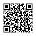C&oacute;digo QR con el enlace al titular Â¿Ha comenzado Penguin 2.0?