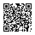 C&oacute;digo QR con el enlace al titular Toral en Tren 2013 por @sm