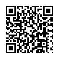C&oacute;digo QR con el enlace al titular Fiestas en ParaÃ­so Cantinas