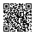 C&oacute;digo QR con el enlace al titular PanoPelgo de AEsir