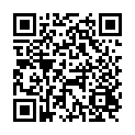 C&oacute;digo QR con el enlace al titular San Antonio 2013