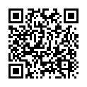 C&oacute;digo QR con el enlace al titular CONSTRUCCIÃ“N DE UN AVIÃ“N