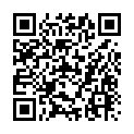 C&oacute;digo QR con el enlace al titular General por puntos