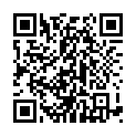 C&oacute;digo QR con el enlace al titular El SEO tras Google Penguin 2.0