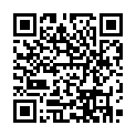 C&oacute;digo QR con el enlace al titular Castell acuÃ¡tico en el Palau Sant Jordi