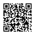 C&oacute;digo QR con el enlace al titular EL SUR DE LEÃ“N / Pery Lechuga: La D.O., protagonista