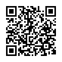 C&oacute;digo QR con el enlace al titular &ldquo;Quedada Estelar&rdquo; en el Pajariel.