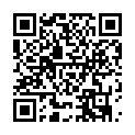 C&oacute;digo QR con el enlace al titular Buscando en el baÃºl