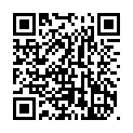 C&oacute;digo QR con el enlace al titular D. LORENZO SANTIAGO VIÃ‘ALES