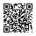 C&oacute;digo QR con el enlace al titular TORRE DEL BIERZO