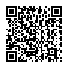 C&oacute;digo QR con el enlace al titular Casillas, de nuevo suplente
