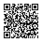 C&oacute;digo QR con el enlace al titular Lazareth Scrambler - BMW R1200 R