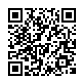C&oacute;digo QR con el enlace al titular The Blues Bros. El Tributo