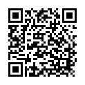 C&oacute;digo QR con el enlace al titular DurÃ­simo correctivo