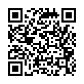 C&oacute;digo QR con el enlace al titular New Themes: Traveler and InfoWay