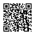 C&oacute;digo QR con el enlace al titular New Themes: Traveler and InfoWay