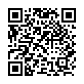 C&oacute;digo QR con el enlace al titular New Themes: Traveler and InfoWay