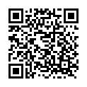 C&oacute;digo QR con el enlace al titular Minipatri festivalera.