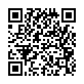 C&oacute;digo QR con el enlace al titular Digging In the Dashboard, Part II: Features for Longform Posts