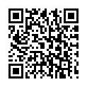 C&oacute;digo QR con el enlace al titular liga europa