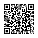 C&oacute;digo QR con el enlace al titular Candidatura Tocho 2013