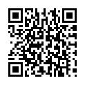 C&oacute;digo QR con el enlace al titular Escopetas al hombro