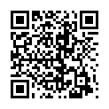C&oacute;digo QR con el enlace al titular Llamada nocturna
