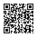 C&oacute;digo QR con el enlace al titular Torreón de los Tovar