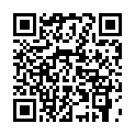 C&oacute;digo QR con el enlace al titular &iquest;Conoces  Toral?-Cuatro agujeros