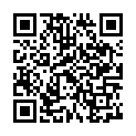 C&oacute;digo QR con el enlace al titular New Themes: Adventure and Basis