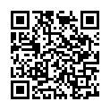 C&oacute;digo QR con el enlace al titular New Theme: Twenty Fourteen