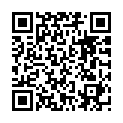 C&oacute;digo QR con el enlace al titular Cometa