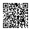 C&oacute;digo QR con el enlace al titular Gala benÃ©fica a favor de Miri.