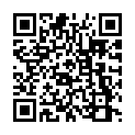 C&oacute;digo QR con el enlace al titular Awesome (and Free) Theme Options You Might Not Know About