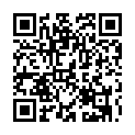 C&oacute;digo QR con el enlace al titular La Edad de Hierro en LeÃ³n, hoy en el Museo