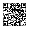 C&oacute;digo QR con el enlace al titular Customizing TheStyle: One Theme, Five Ways