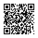 C&oacute;digo QR con el enlace al titular Nos vamos de fiestaâ€¦