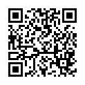C&oacute;digo QR con el enlace al titular Mi BLOG en CIFRAS (2013)