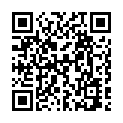C&oacute;digo QR con el enlace al titular ColisiÃ³n fantasma en Torre del Bierzo