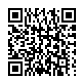 C&oacute;digo QR con el enlace al titular Excesivo correctivo