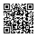 C&oacute;digo QR con el enlace al titular Sylvain Toulouse
