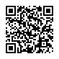 C&oacute;digo QR con el enlace al titular Puntazo de GÃ³ngora