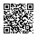 C&oacute;digo QR con el enlace al titular WordPressers Making a Splash: February Edition